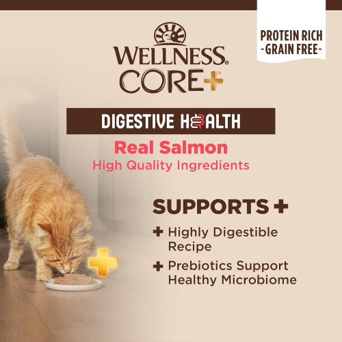 (新包裝 升級版) Wellness CORE Digestive Health Pate Salmon Recipe 3oz 消化易系列 無穀物全貓主食罐 三文魚配方 (無卡拉膠) (6126) 